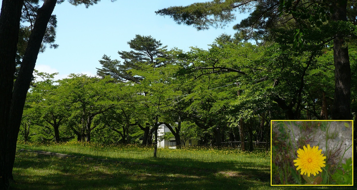 ふらり散歩でいい景色