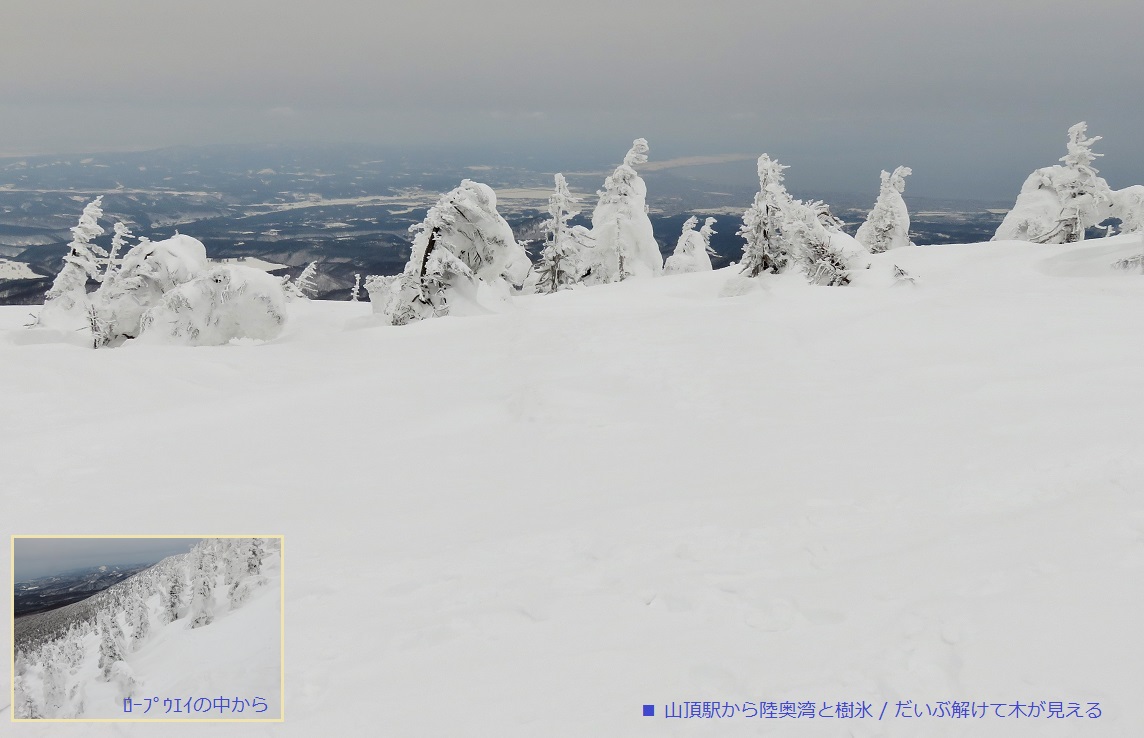 白と青のコントラスト