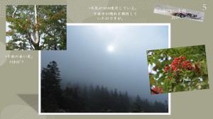 風景5