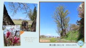 風景4