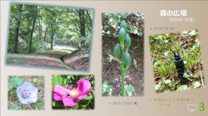 風景3
