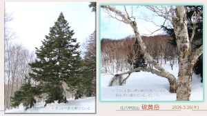 風景4