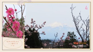 風景4
