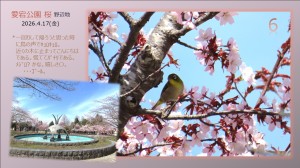 風景6