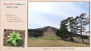 風景1