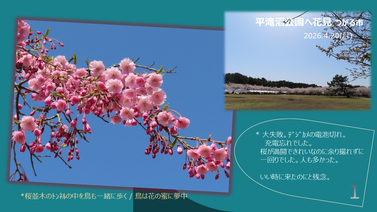 風景1