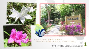 風景1